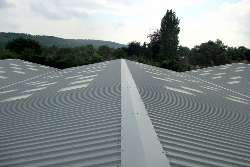 <br /><ul><li>Roof replacement</li><li>Roof over-sheeting</li><li>Gutter refurbishment</li><li>Rooflight systems</li></ul>