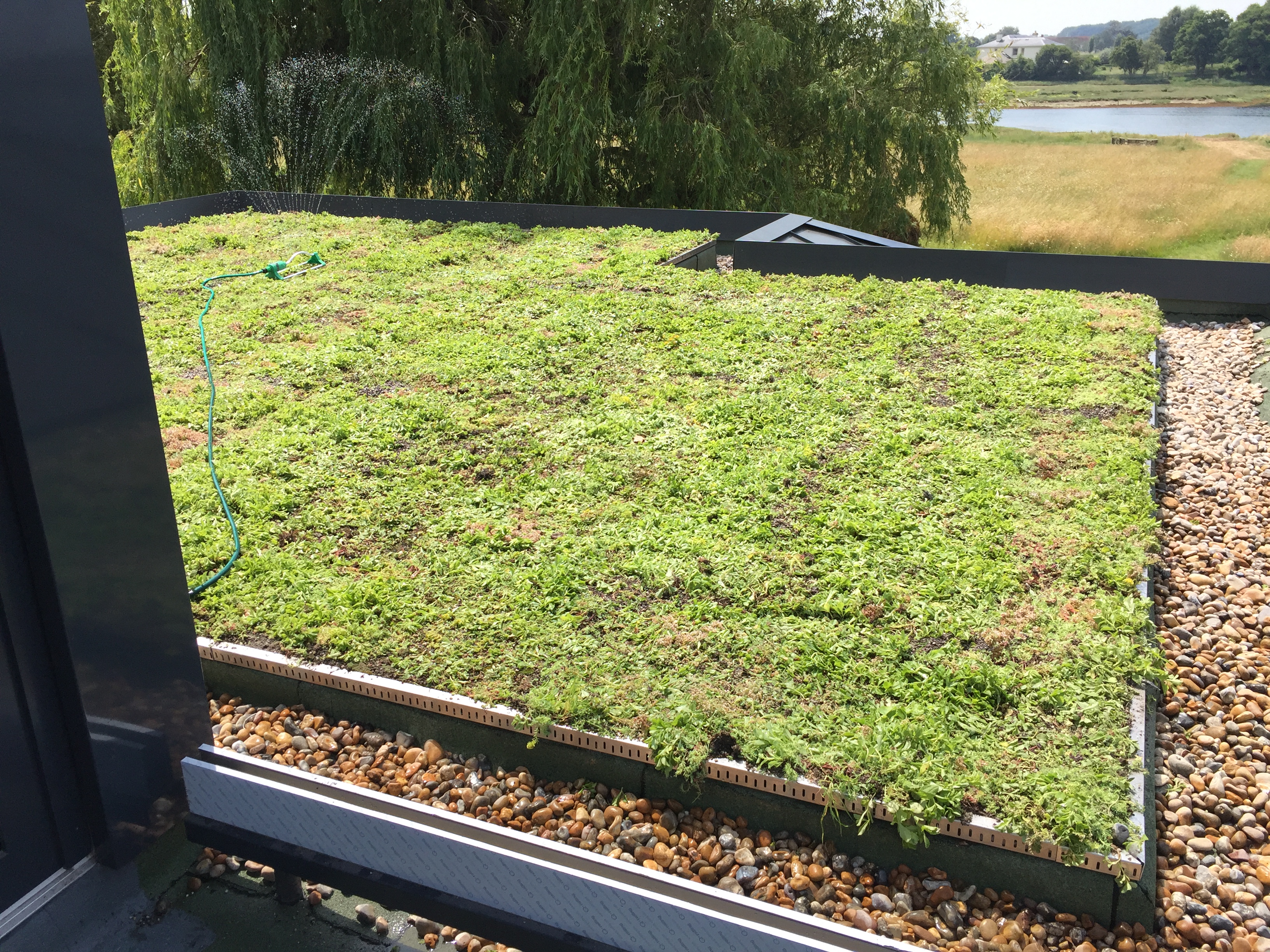 Kingsley Roofing complete sedum green roof on residential property in Chichester, Sussex.